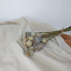 bouquet pavot